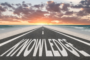 大海里都有哪些动物？