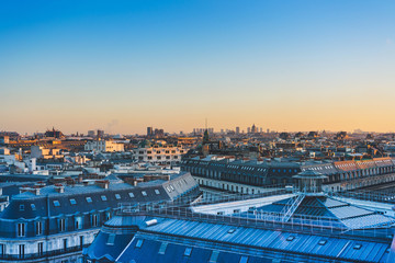 鲜花手抄报资料