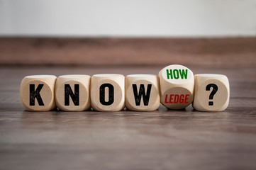 大海里都有哪些动物？