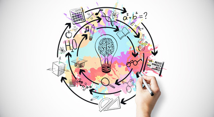 大海里都有哪些动物？