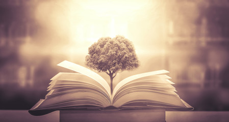 大海里都有哪些动物？