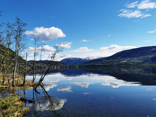 《桂林山水》的作者是谁啊？