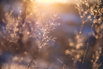 健康大讲堂主持人主持词大全