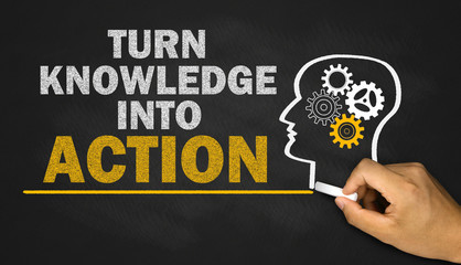 大海里都有哪些动物？