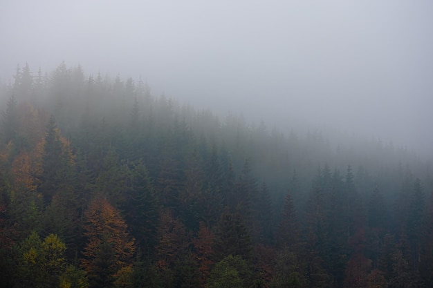 带乃字的文言文