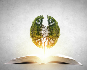 带乃字的文言文