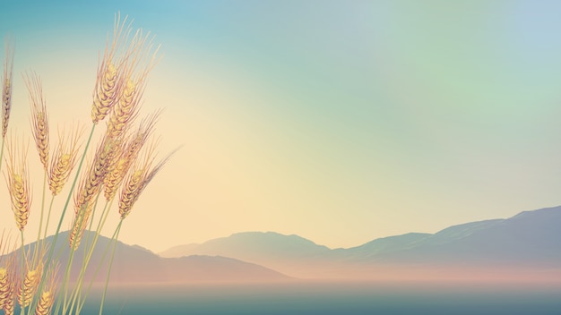 带乃字的文言文