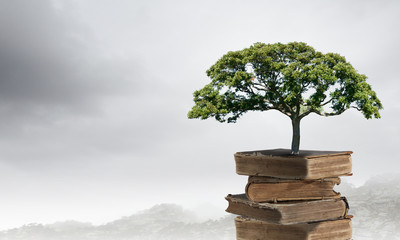 健康大讲堂主持人主持词大全