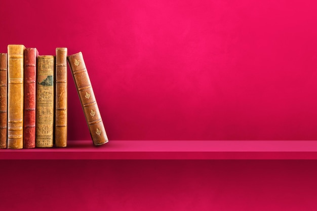 大海里都有哪些动物？