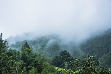 七年级英语上册课本单词含26个大写字母的单词表